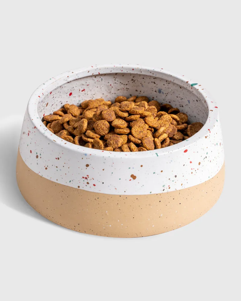Stoneware Dog Bowl